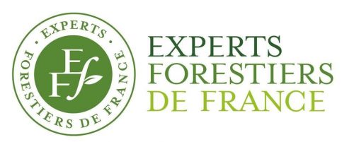 logo Experts forestiers de France partenaire de Forestry France  expertise et gestion forestière